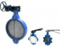 Centric butterfly valves